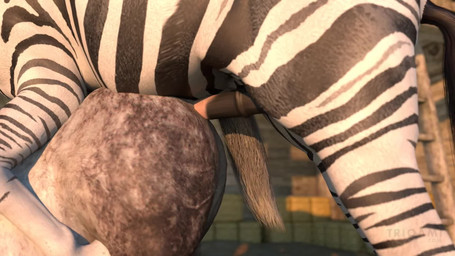 all_fours anal anal_penetration animal_genitalia animal_penis backsack balls bouncing_balls bouncing_penis doggystyle duo equine_genitalia equine_penis erection feral feral_noises feral_on_feral feral_penetrated feral_penetrating feral_penetrating_feral feral_penetrating_male from_behind_position genitals implied_orgasm intraspecies larger_feral larger_male male male/male male_feral male_on_feral male_penetrated male_penetrating male_penetrating_feral male_penetrating_male moan multiple_angles outside outside_sex penetration penile penile_penetration penis penis_in_ass realistic_feral sex size_difference smaller_feral smaller_male smaller_penetrated sound_warning trioami260 equid equine horse mammal pony shetland zebra 16:9 2021 3d_(artwork) 3d_animation animated digital_media_(artwork) hi_res huge_filesize long_playtime sound video widescreen