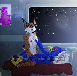 abs anthro anthro_on_anthro areola beak bed bedroom blue_body blue_eyes blue_feathers breasts cowgirl_position duo feathers female female_on_top female_penetrated from_front_position furniture genitals inside interspecies male male/female male_on_bottom male_penetrating male_penetrating_female nipples nude on_bottom on_top open_mouth penetration penile penile_penetration penis_in_vagina sex straddling vaginal vaginal_penetration vulva missebony nintendo star_fox falco_lombardi miyu_(star_fox) avian bird felid feline lynx mammal