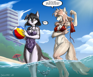 anthro ball beach beach_ball bikini bikini_bottom bikini_top black_body black_fur black_hair black_nose bottomless bottomless_anthro bottomless_female breasts clothed clothed_anthro clothed_female clothing dialogue duo female fur hair heterochromia holding_bikini_bottom inflatable multicolored_body multicolored_fur oblivious one-piece_swimsuit outside partially_submerged pink_hair speech_bubble standing_in_water swimwear text two-piece_swimsuit two_tone_body two_tone_fur wardrobe_malfunction water waterline_view wet wet_body wet_fur white_body white_fur jackunator lexi_(blustar34) rose_(blustar34) canid canine canis domestic_cat domestic_dog felid feline felis mammal 2025 6:5 english_text hi_res