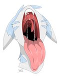 alternate_color bodily_fluids drooling feral male mouth_shot open_mouth saliva saliva_string solo throat tongue tongue_out uvula krona999 game_freak nintendo pokemon fan_character krona_the_furret furret generation_2_pokemon pokemon_(species) absurd_res hi_res