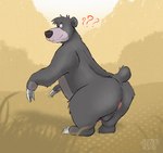anthro anus backsack balls baloo bear big_butt black_nose blep butt claws disney fur genitals hi_res humanoid_genitalia humanoid_penis jenokamui looking_at_viewer looking_back male mammal overweight overweight_male penis sloth_bear solo the_jungle_book thick_thighs tongue tongue_out ursine