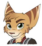 anthro brown_stripes cheek_tuft clothing eyebrows facial_tuft fur green_eyes looking_at_viewer male neck_tuft solo striped_body striped_fur stripes tuft yellow_body yellow_fur littlelombaxart ratchet_and_clank sony_corporation sony_interactive_entertainment kaden_(ratchet_and_clank) lombax mammal hi_res portrait