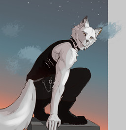 anthro athletic athletic_anthro athletic_male black_boots black_bottomwear black_clothing black_footwear black_pants black_shirt black_tank_top black_topwear boots bottomwear chain clothed clothed_anthro clothed_male clothing cloud collar detailed_background ear_piercing ear_ring evening fingers fluffy fluffy_tail footwear frown fur head_turned humanoid_hands inner_ear_fluff long_tail looking_at_viewer male pants piercing pose ring_piercing shadow shirt shoes side_view sky solo spiked_collar spikes star starry_sky tail tank_top topwear torn_tank_top tuft white_body white_fur yellow_eyes reedeer tennis_ace haruki_koizumi canid canine canis mammal wolf colored full-length_portrait hi_res portrait shaded