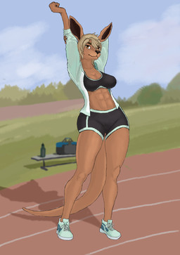 abs anthro athletic athletic_wear female midriff solo stretching wannabehobo kangaroo macropod mammal marsupial hi_res