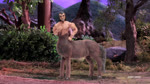 abstract_background butt female feral humor male muscular muscular_male music real shaking_butt simple_background song stop_motion teasing unknown_artist adult_swim cartoon_network european_mythology greek_mythology mythology robot_chicken centaur equid equid_taur equine horse humanoid_taur mammal mammal_taur taur 16:9 animated bad_metadata grandfathered_content long_playtime sound webm widescreen