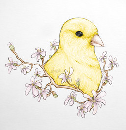 ambiguous_gender art_nouveau beak feathers feral flower plant simple_background solo white_background yellow_body yellow_feathers blacknemera avian bird canary finch oscine passerine 2015 absurd_res bust_portrait dated hi_res portrait signature traditional_media_(artwork)