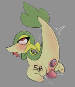 ahegao ambiguous_fluids anal anal_penetration anus bodily_fluids body_writing bodypaint buttplug buttplug_in_ass buttplug_insertion dildo dildo_in_vagina dildo_insertion dildo_sitting double_penetration female feral forked_tongue gem genital_fluids genitals jewel_buttplug looking_pleasured object_in_ass orgasm penetration plug_(sex_toy) plug_insertion sex_toy sex_toy_in_ass sex_toy_in_vagina sex_toy_insertion shaking shaking_orgasm solo tongue tongue_out toy tremble_lines tremble_spikes trembling trembling_for_pleasure vaginal vaginal_penetration vulva writing_on_butt mrmystery_guy nintendo pokemon generation_5_pokemon pokemon_(species) reptile scalie snake snivy