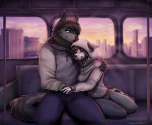 anthro bottomwear clothing denim denim_bottomwear denim_clothing duo female fur fur_markings hand_holding hoodie hug jeans male markings pants sleeping tattoo topwear train vehicle shamziwhite canid canine mammal portrait three-quarter_portrait