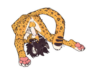 alternative_fashion anthro anus autofellatio balls big_penis biped black_hair countershading digitigrade ear_piercing emo emo_haircut erection eyes_closed feet fingers flexible fluffy fluffy_tail folded fur genitals hair hair_over_eye hindpaw humanoid_genitalia humanoid_penis male markings masturbation nude oral oral_masturbation pawpads paws penile penile_masturbation penis piercing solo spots spotted_body spotted_fur tail toes bunnyshaped dillon_vasquez_hererra felid jaguar mammal pantherine 5:4 absurd_res digital_media_(artwork) flat_colors full-length_portrait hi_res portrait