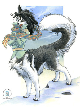 black_body black_fur black_hair black_nose bottomless clothed clothing cloud coat day detailed_background fangs female fur hair long_hair open_mouth outside scarf self_hug sky snow solo standing tail teeth topwear white_body white_fur wind winter kacey canid canine canis domestic_dog husky mammal nordic_sled_dog siberian_husky spitz taur 2008