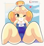 anthro camel_toe clothing female one-piece_swimsuit school_swimsuit solo spread_legs spreading swimwear onigiri_punch animal_crossing nintendo isabelle_(animal_crossing) canid canine canis domestic_dog mammal shih_tzu toy_dog