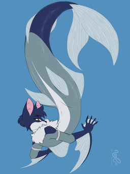 ambiguous_gender anthro armband blue_background brown_eyes dorsal_fin fin flippers grey_body hair membrane_(anatomy) multicolored_body purple_body purple_hair simple_background solo split_form webbed_hands sepisnake jones_destroyer aquatic bat canid canine fox hybrid mammal merfolk 2025 hi_res nonbinary_(lore)