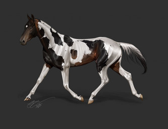 ambiguous_gender black_body black_tail blue_eyes brown_body feral hooves mouth_closed quadruped realistic side_view snout solo tail text unguligrade walking white_body white_tail scarlanya equid equine horse mammal 2020 artist_name dated signature