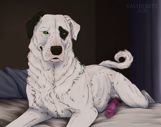 anatomically_correct_feral animal_genitalia animal_penis bed canine_genitalia canine_penis erection eye_patch_(marking) facial_markings feral fur furniture genitals head_markings knot knotted_penis male markings on_bed patch_(marking) penis realistic_feral solo white_body white_fur valiberite jenklin_(character) canid canine canis domestic_dog kangal livestock_guardian_dog mammal molosser mountain_dog pastoral_dog 2026 hi_res