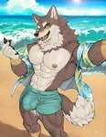 abs anthro armpit_hair beach biceps bodily_fluids body_hair bulge clothed clothing detailed_bulge genital_outline male muscular muscular_male open_clothing open_shirt open_topwear pecs penis_outline scar seaside shirt solo sweat tail topwear rossciaco vtuber ogami_aratsuka canid canine canis mammal wolf hi_res