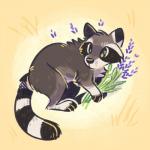 ambiguous_gender feral flower green_eyes lavender_(flower) plant simple_background solo sunneflyer mammal procyonid raccoon 1:1 2019 digital_media_(artwork) hi_res unavailable_at_source