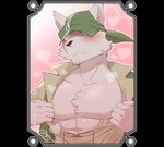 abs anthro blush chest_tuft clothed clothing fur grey_body grey_fur hat headgear headwear heart_symbol male muscular muscular_male nipples pecs presenting simple_background solo transparent_background tuft undressing cotton_(artist) chardonnay_romancia rudolf_concard canid canine fox mammal 2021 alpha_channel