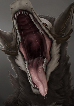 ambiguous_gender bodily_fluids brown_body brown_eyes brown_fur cheek_tuft close-up dripping facial_tuft fangs feral fluffy fur fur_markings grey_background grey_body grey_fur grey_inner_ear grey_inner_ear_fluff inner_ear_fluff looking_at_viewer markings mouth_shot neck_tuft open_mouth orange_eyes pink_mouth pink_tongue saliva saliva_drip saliva_on_tongue saliva_string simple_background snout solo teeth tongue tuft uvula rakess mythology silas_zeranous dragon furred_dragon furred_scalie mythological_creature mythological_scalie scalie digital_media_(artwork) hi_res shaded