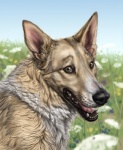 ambiguous_gender breath brown_eyes feral flower fluffy grass happy looking_at_viewer open_mouth outside panting plant realistic sky smile solo tongue whiskers anakuro canid canine canis domestic_dog mammal 2012 bust_portrait digital_media_(artwork) portrait