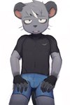 anthro blush bulge clothing male solo tight_clothing latotabo gelato_(latotabo) mammal murid murine rat rodent 2:3 hi_res