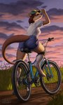 anthro baseball_cap bicycle bottomwear breasts brown_body brown_fur butt clothed clothing cycling denim denim_bottomwear denim_clothing denim_shorts detailed_background digitigrade eyewear female field footwear fully_clothed fur glasses hat headgear headwear looking_up mountain_bike outside shirt shorts socks solo sunset topwear vehicle tram15vay eulipotyphlan hedgehog mammal 3:5 hi_res