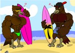 anthro backwards_hat beach bulge clothing duo green_clothing green_speedo green_swimwear hat headgear headwear male male/male muscular seaside speedo surfboard swimming_trunks swimwear kogo avian bird oscine passerine robin_(bird) starling_(bird)