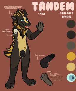 3_toes 4_fingers anthro balls biped black_balls black_body black_fur black_glans black_hair black_mane black_nose black_penis blep blonde_hair blonde_mane blue_eyes blue_sclera color_swatch countershade_legs countershade_torso countershading cross-eyed cross_section darkened_genitalia dazed directional_arrow ears_back erection fangs feet fingers flaccid foreskin front_view fur genitals gesture glans gloves_(marking) hair half-closed_eyes humanoid_genitalia humanoid_hands humanoid_penis leg_markings male mane mane_hair markings multicolored_body multicolored_fur multicolored_hair multicolored_mane muzzle_scabs narrowed_eyes nude penis pink_tongue pivoted_ears raised_arm shadow smile snout socks_(marking) soles solo spines standing tan_body tan_countershading tan_fur teeth text toes tongue tongue_out two_tone_hair two_tone_mane waving yellow_body yellow_fur frindle tandem_(frindle) afrosoricid lowland_streaked_tenrec mammal streaked_tenrec tenrec 2015 character_name digital_drawing_(artwork) digital_media_(artwork) english_text full-length_portrait hi_res model_sheet portrait species_name