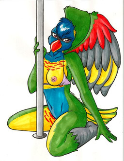 anthro breasts dancing feathered_wings feathers female nipples non-mammal_breasts non-mammal_nipples nude pole pole_dancing solo wings tigerskitten avian bird loriine lorikeet old_world_parrot parakeet parrot rainbow_lorikeet true_parrot