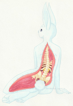 anthro black_eyes female fur gore kidney looking_away macabre organs pelvis rib_cage short_tail simple_background sitting solo spine tail vivisection white_body white_fur hottmutton beastars haru_(beastars) hare lagomorph leporid mammal rabbit absurd_res gouache_(artwork) hi_res painting_(artwork) traditional_media_(artwork) traditional_painting_(artwork)