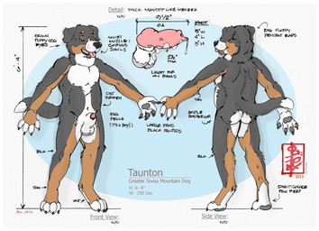animal_genitalia animal_penis anthro balls border canine_genitalia canine_penis digitigrade genitals hairless_balls knot male pawpads penis solo tail text white_border fennec_(artist) taunton_(turrentwolfie) canid canine canis domestic_dog greater_swiss_mountain_dog mammal molosser mountain_dog swiss_mountain_dog 2026 digital_media_(artwork) english_text model_sheet