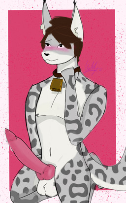 animal_genitalia animal_penis anthro balls big_penis blush bodily_fluids choker cowbell cum dripping erection feline_genitalia feline_penis femboy genital_fluids genitals jewelry kneeling knot knotted_penis male necklace penis solo throbbing throbbing_penis waltyzwaffles felid feline leopard mammal pantherine snow_leopard absurd_res hi_res