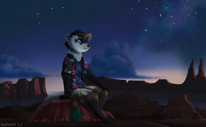 4_toes barefoot bottomwear canteen claws clothed clothing desert digitigrade feet paws shirt shorts solo toe_claws toes topwear pawprincess domestic_ferret mammal mustelid musteline true_musteline weasel absurd_res hi_res