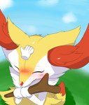 anthro blush daww duo female fur happy heart_symbol holding_object holding_stick inner_ear_fluff multicolored_body multicolored_fur petting sky smile stick tail tail_motion tailwag tuft ne_i_ro nintendo pokemon pokemon_amie braixen canid generation_6_pokemon mammal pokemon_(species) 2020 animated animated_png loop short_playtime