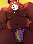 2011 3:4 ailurid anthro belly bulge clothing green_eyes male mammal moobs navel nipples one_eye_closed overweight overweight_anthro overweight_male red_panda simple_background solo taoren tozier underwear wink