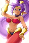 5_fingers blue_eyes bra breasts brown_body brown_skin cleavage clothed clothing crown ear_piercing ear_ring female fingers hair headgear long_hair midriff navel not_furry piercing ponytail purple_hair ring_piercing simple_background solo tiara underwear white_background gm_laz shantae_(series) wayforward shantae genie humanoid 2020 2:3 hi_res