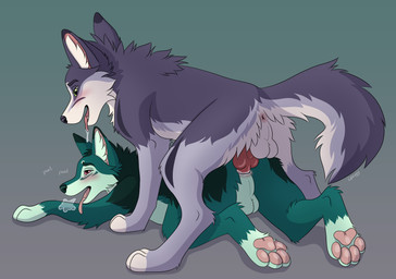 anal anal_penetration animal_genitalia animal_penis anus balls blush bodily_fluids breath butt canine_genitalia canine_penis duo erection fangs feet feral feral_on_feral fluffy fluffy_tail fur genital_fluids genitals half-closed_eyes inner_ear_fluff knot male male/male male_penetrated male_penetrating male_penetrating_male narrowed_eyes open_mouth panting pawpads paws penetration penile penis saliva seductive sex simple_background smile tail teeth text toes tongue tuft leeny canid canine canis domestic_dog mammal wolf absurd_res digital_media_(artwork) english_text hi_res