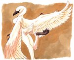 anthro beak breasts claws feathers feet female looking_at_viewer membrane_(anatomy) non-mammal_breasts raised_leg solo toes webbed_feet white_body white_feathers wings uaykan anatid anseriform anserinae avian bird swan 2005