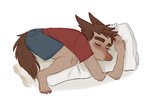 anthro bottomwear brown_body brown_fur brown_hair canid canine canis chubbyfurries clothed clothing domestic_dog ethan_(chubbyfurries) eyebrows eyes_closed feet fully_clothed fur hair low_res male mammal plantigrade shirt shorts sleeping solo t-shirt thick_eyebrows toes topwear young young_anthro