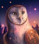 brown_body brown_feathers detailed_background feathers feral male night solo white_body white_feathers yellow_eyes hintowl guardians_of_ga'hoole soren_(gogh) avian barn_owl bird owl tyto tytonid hi_res