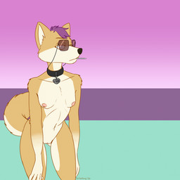 anthro breasts collar countershade_torso countershading eyewear false_color female fur genitals gloves_(marking) lollipop_in_mouth looking_aside markings navel nipples no_irises nude nude_anthro pink_nipples small_breasts solo standing sunglasses tan_body tan_fur thigh_gap vulva scribefang akane_(scribefang) canid canine canis domestic_dog mammal shiba_inu spitz 1:1 digital_drawing_(artwork) digital_media_(artwork) hi_res