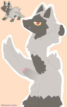 anthro femboy fluffy foreskin fur fur_markings genitals gradient_penis looking_at_viewer male markings penis solo suggestive_pose tail thick_thighs sodacrumble nintendo pokemon generation_3_pokemon pokemon_(species) poochyena hi_res