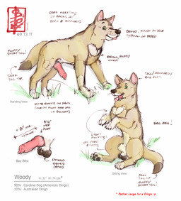 animal_genitalia animal_penis aroused balls border canine_genitalia canine_penis darkened_balls darkened_genitalia digitigrade erection feral genitals hairless_balls knot male pawpads penis quadruped sheath solo tail text white_border fennec_(artist) canid canine canis carolina_dog domestic_dog mammal digital_media_(artwork) english_text model_sheet