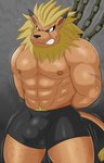 abs anthro bdsm blonde_hair blush bound bulge clenched_teeth clothing detailed_bulge hair male mane muscular muscular_anthro muscular_male pecs scuff_marks solo teeth underwear bantau bandai_namco digimon digimon_(species) leomon absurd_res hi_res