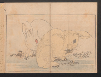 ambiguous_feral ambiguous_gender claws duo feral finger_claws fur long_ears looking_down on_hind_legs pawpads quadruped simple_background standing toe_claws whiskers katsushika_hokusai public_domain lagomorph leporid mammal rabbit 1814 19th_century absurd_res ancient_art hi_res traditional_media_(artwork)