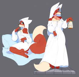 alternate_costume anthro breasts choker cleavage clothed clothing countershade_face countershade_fur countershade_torso countershading dipstick_tail female female_anthro fur grey_background jewelry lamp lantern markings monotone_background multiple_poses necklace nightgown orange_body orange_fur pose simple_background sitting solo standing tail tail_markings tan_body tan_fur white_clothing punipaws disney robin_hood_(disney) maid_marian canid canine fox mammal red_fox true_fox colored digital_media_(artwork) full-length_portrait hi_res portrait