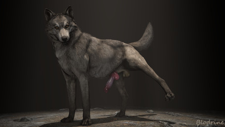 amber_eyes anatomically_correct animal_genitalia balls black_nose canine_genitalia claws erection feral fur genitals grey_body grey_fur hiked_leg legs_up looking_at_viewer male nude pawpads paws penis presenting presenting_balls presenting_penis raised_leg raised_tail sheath simple_background solo tail blodrain canid canine canis mammal wolf 16:9 3d_(artwork) 4k absurd_res digital_media_(artwork) hi_res source_filmmaker_(artwork) widescreen