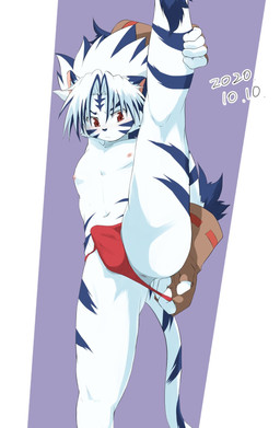 anthro anus asian_clothing blue_body blue_ears blue_fur blue_hair blue_nose blue_tail blush brown_clothing brown_gloves brown_handwear bulge clothed clothing clothing_pull east_asian_clothing fingerless_gloves fundoshi fur gloves hair handwear holding_leg japanese_clothing male markings multicolored_body multicolored_fur multicolored_hair navel nipples one_leg_up raised_leg red_clothing red_eyes red_fundoshi red_underwear solo striped_body striped_fur striped_markings striped_tail stripes tail tail_markings topless two_tone_body two_tone_fur two_tone_hair two_tone_tail underwear underwear_pull chirasgi onmyou_taisenki kogenta_(onmyou_taisenki) felid mammal pantherine tiger 2020 dated hi_res