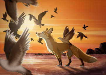 ambiguous_gender cloud feral group outside sky sunset water wet conditional_dnp tani_da_real avian bird canid canine fox mammal red_fox true_fox 2013