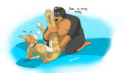 5_fingers age_difference anal anal_fingering anthro bed belly big_belly black_body black_fur black_hair black_nose breath brown_body brown_fur collar daddy_kink dialogue dominant duo eyes_closed fingering fingers fur furniture hair kneeling lying male male/male mature_male mullet on_back on_bed panting pillow pink_nose raised_leg simple_background size_difference slightly_chubby striped_body striped_fur stripes submissive tan_body tan_fur whisker_spots white_body white_fur p_rindustries chuck_(p_rindustries) will_(p_rindustries) canid canine canis dobermann domestic_cat domestic_dog felid feline felis mammal pinscher hi_res signature