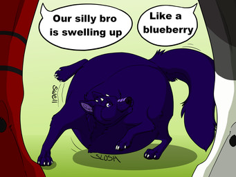 ambiguous_gender anthro black_nose blue_body blue_fur blue_tail blueberry_inflation claws duo feral fur glistening glistening_eyes grey_body grey_fur inflation inner_ear_fluff mouth_closed purple_eyes purple_inner_ear_fluff red_body red_fur simple_background solo_focus standing tail text tuft white_body white_claws white_fur unbreakable-warrior canid mammal 2018 4:3 english_text hi_res